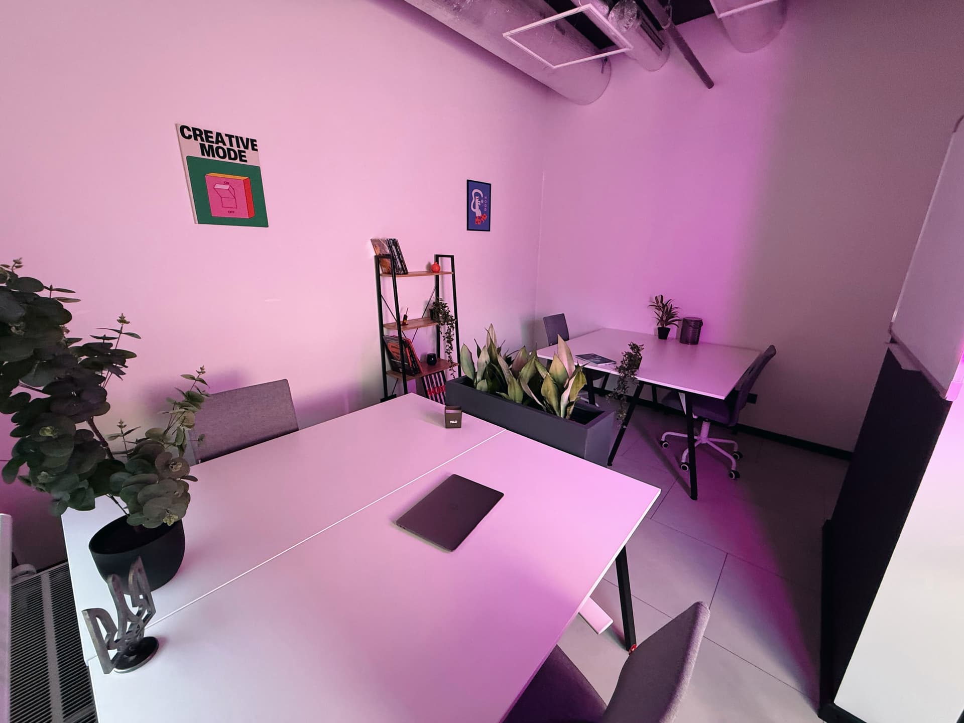 Gallery image 7